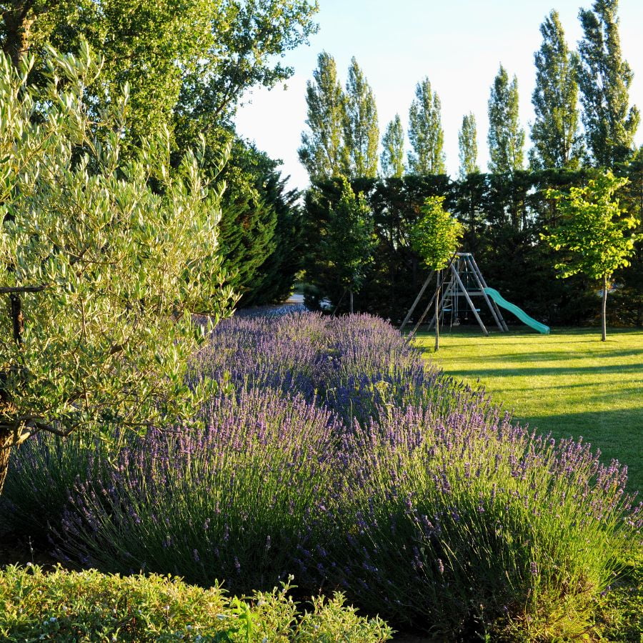 Jardin Fleuri au Mas Molière à Robion Lubéron