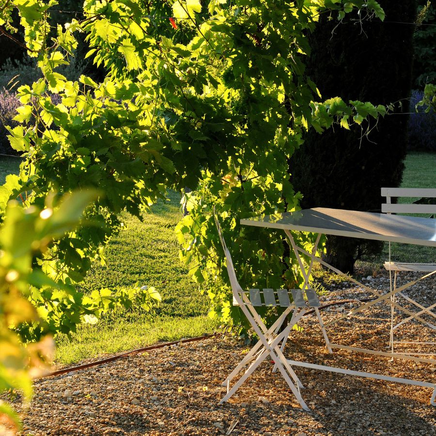 Terrasse ensoleillée au Mas Molière à Robion